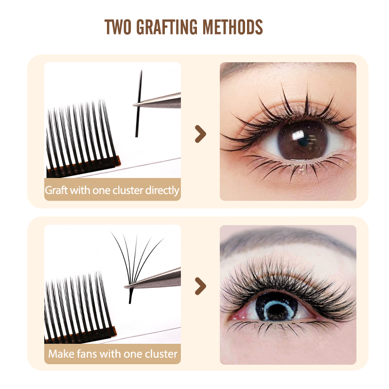 나투하나 5D 플로라 개별 속눈썹 이지 팬 속눈썹 연장 - Eyelash Extension Volume Styles 리뷰 및 가격