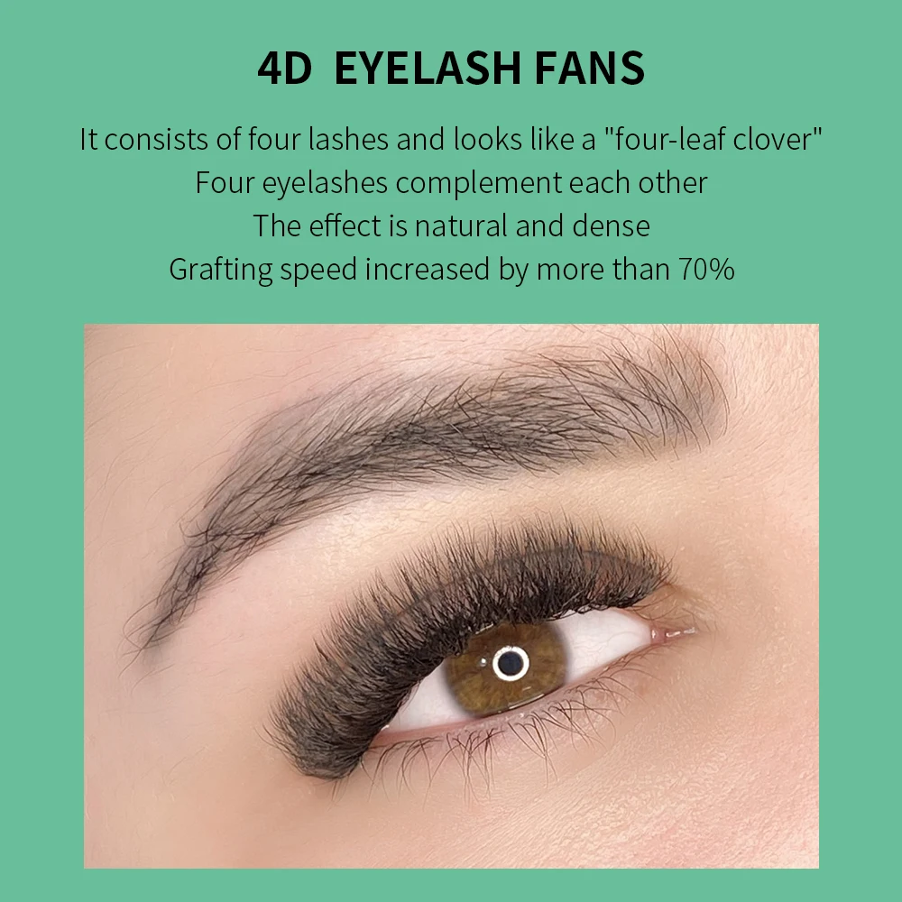 GLAMLASH 4D W 모양 속눈썹 연장 미리 만들어 - Eyelash Extension Volume Styles 리뷰 및 가격