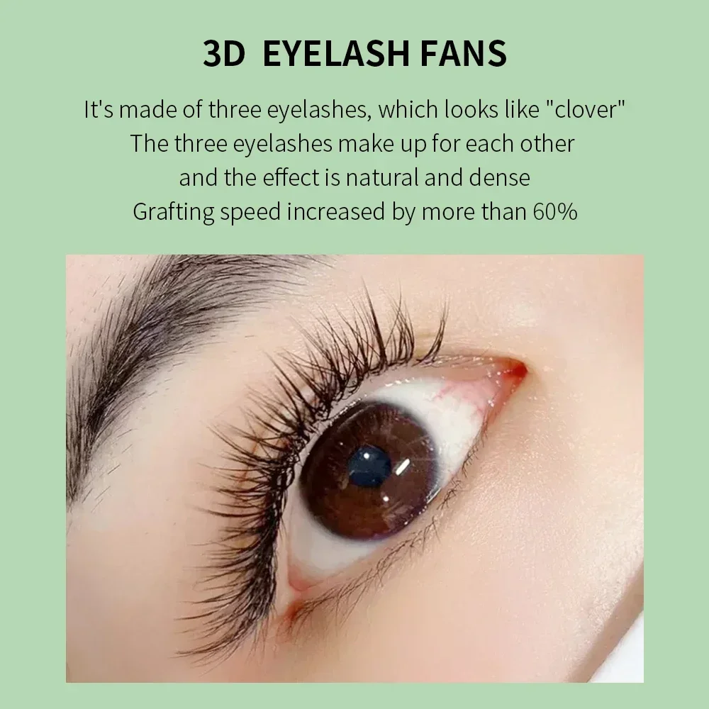 GLAMLASH 3D W 3 코어 모양 속눈썹 확장 미 - Eyelash Extension Volume Styles 리뷰 및 가격