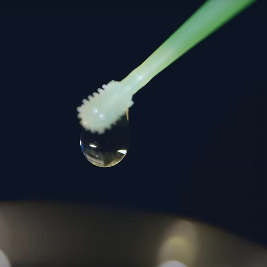 100개/박스 치과용 일회용 실리콘 마이크로 어플리케이 - Micro Brush Applicator 리뷰 및 가격